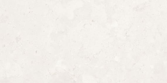 Керамогранит Lasselsberger Ceramics Ниагара / Niagara светло-серый Матовый 30x60