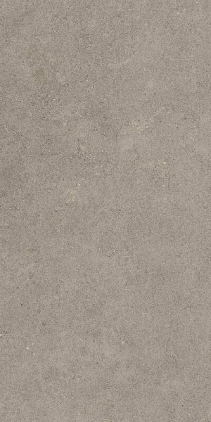 Керамогранит Atlas Concorde Forte dei Marmi Rock Lunar Grey 80x160