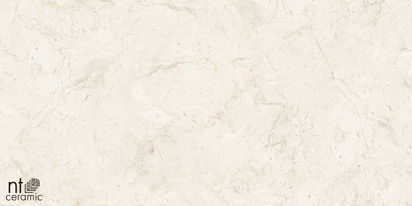 Керамогранит NT Ceramic Gravel Stone Almond Endless 60x120