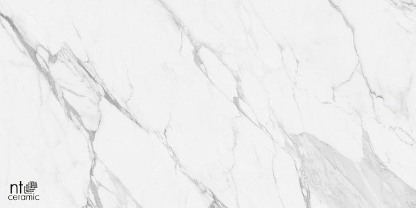Керамогранит NT Ceramic Marmo Artic statuario carving 60x120