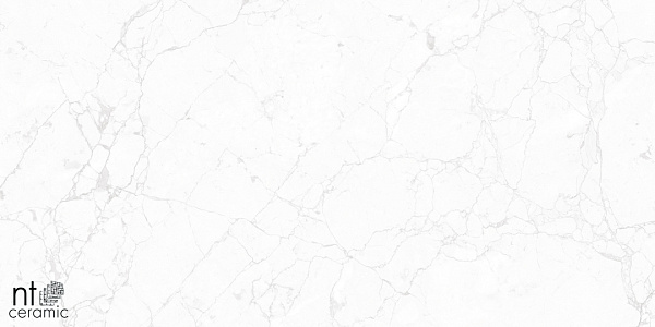 Керамогранит NT Ceramic Marmo Impero carving 60x60