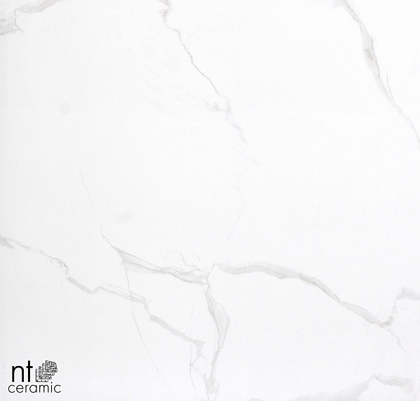 Керамогранит NT Ceramic Marmori NTT9402 60x60