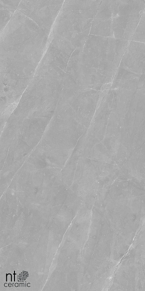 Керамогранит NT Ceramic Granite Limestone Grey Structura 60x120