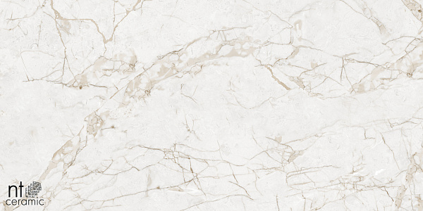 Керамогранит NT Ceramic Marmo Impero Grey carving 60x120