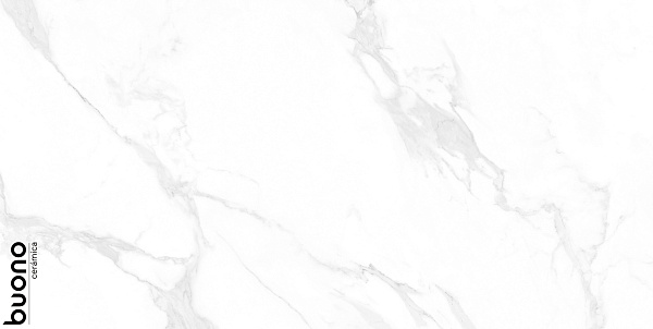 Керамогранит Buono Ceramica Marble Carrara Anita glossy 60x120