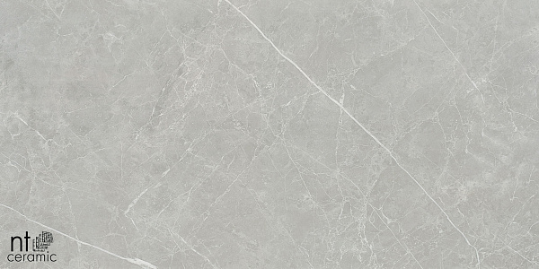 Керамогранит NT Ceramic Pietra NTT1101 60x120