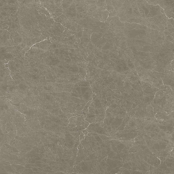 Керамогранит Italon Статус Мока 120x120