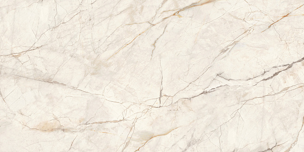 Керамогранит LCM Wonderfull полированный 60x120