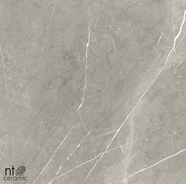 Керамогранит NT Ceramic Bright and Shiny NTT9102 60x60
