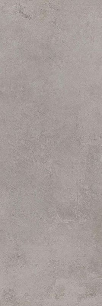 Настенная плитка Tokio Grey W M NR Mat 1 20x60 Серый Матовая