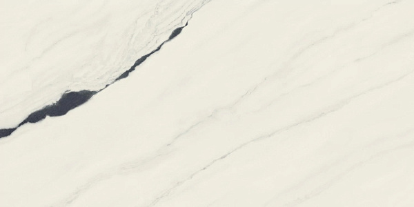 Керамогранит Atlas Concorde Forte Dei Marmi Panda White cerato 60x120