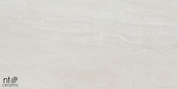 Керамогранит NT Ceramic Zeus NTT9702 60x120