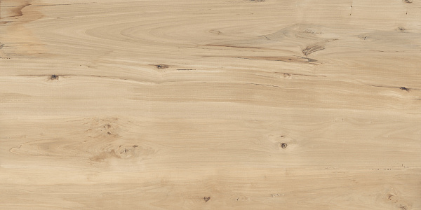Керамогранит Buono Ceramica Forest Sweet Home matt 60x120