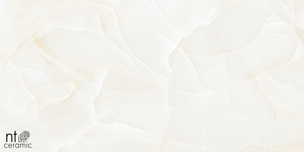Керамогранит NT Ceramic Onyx Predo 60x120