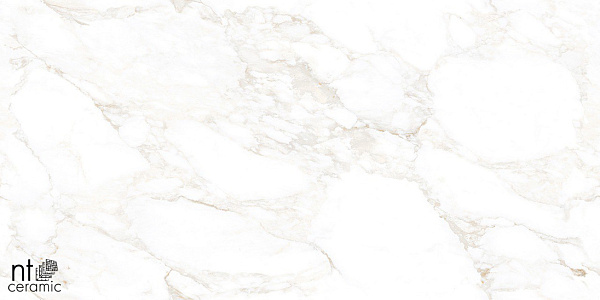 Керамогранит NT Ceramic Marmo Marble Extra Endless 60x120