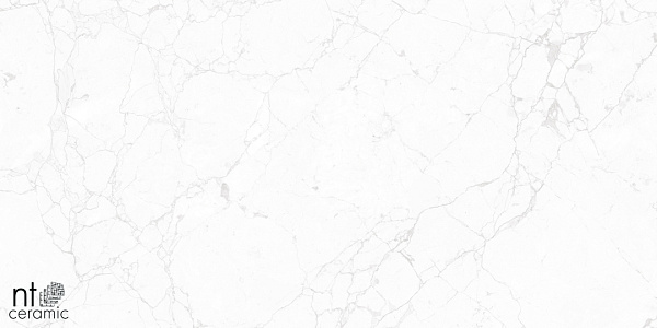 Керамогранит NT Ceramic Marmo Impero carving 60x60