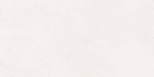 Керамогранит LCM Nevel White / Невел белый матовый 60x120