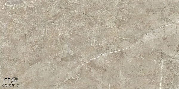 Керамогранит NT Ceramic Quarta Grey NTT9021 60x60