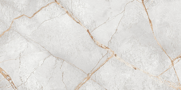 Керамогранит LCM Special Marmo Gray полированный 60x120
