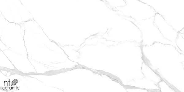 Керамогранит NT Ceramic Marmo Statuario Ultra White 60x120