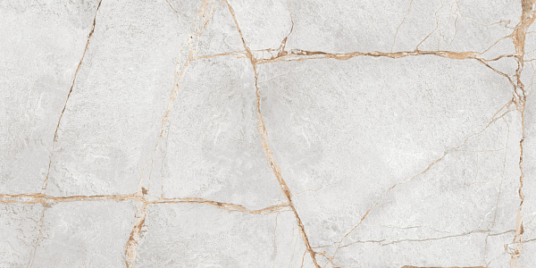 Керамогранит LCM Special Marmo Gray полированный 60x120