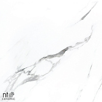 Керамогранит NT Ceramic Bright and Shiny NTT9100 60x60