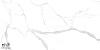 Керамогранит NT Ceramic Marmo Statuario Ultra White 60x120