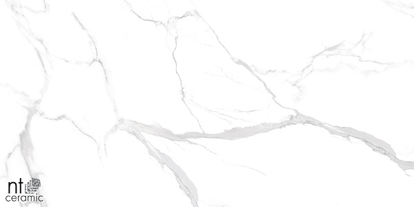 Керамогранит NT Ceramic Marmo Statuario Ultra White 60x120