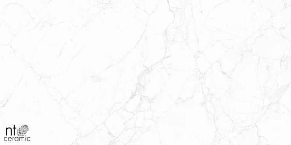 Керамогранит NT Ceramic Marmo Impero carving 60x60