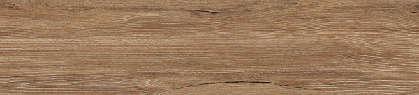 Керамогранит Alma Ceramica Grandwood GFA2090GRW40R матовый 20x90