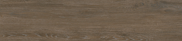 Керамогранит Alma Ceramica Grandwood GFA2090GRW44R матовый 20x90