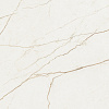 Керамогранит Atlas Concorde Forte Dei Marmi Quark Sahara Blanc matt 120x120