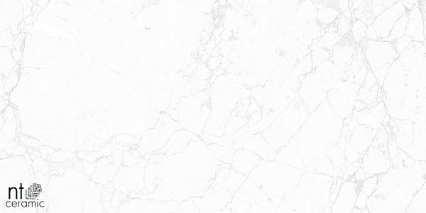 Керамогранит NT Ceramic Marmo Impero carving 60x60