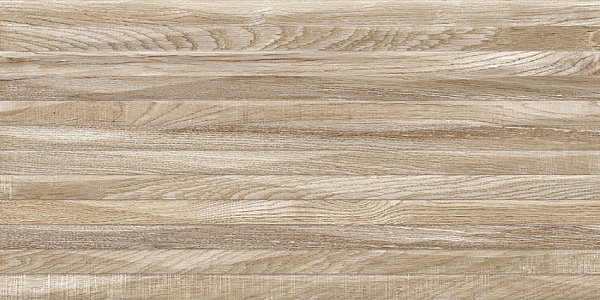 Плитка Alma Ceramica Euphoria TWU2550EPH44 матовая 249x500