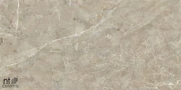 Керамогранит NT Ceramic Quarta Grey NTT9021 60x60