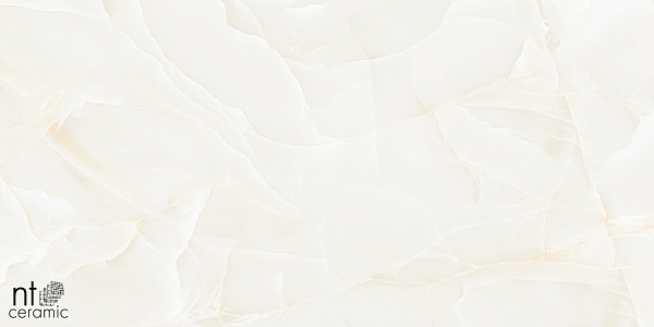 Керамогранит NT Ceramic Onyx Predo 60x120