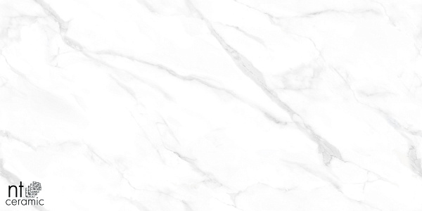 Керамогранит NT Ceramic Marmo Statuario Endless 60x120