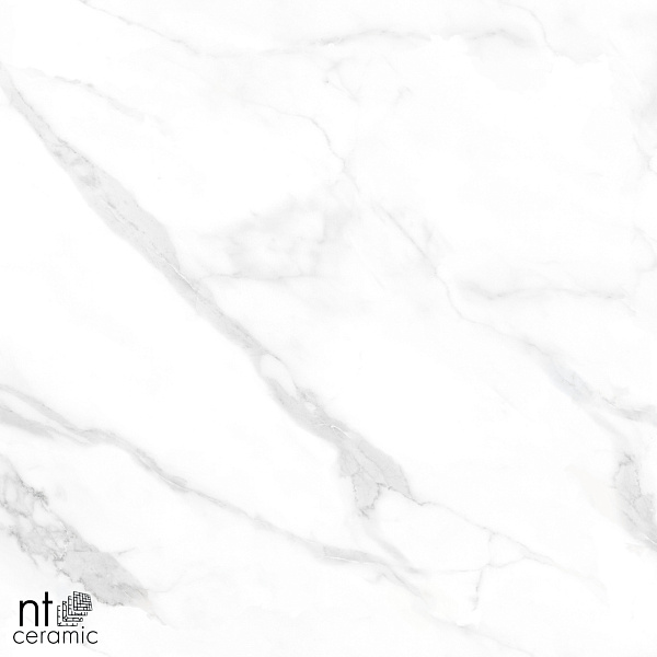 Керамогранит NT Ceramic Marmo Statuario Endless matt 60x60