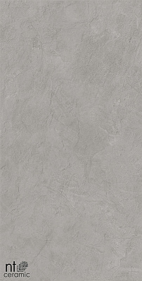 Керамогранит NT Ceramic Granite Obelisk Grey 60x120