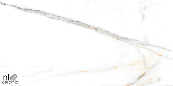 Керамогранит NT Ceramic Marmo Miami Natural 60x120