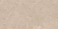 Керамогранит NT Ceramic Axion Feron Beige 60x120