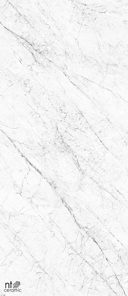 Керамогранит NT Ceramic Atlas Home Carrara Elite 120x280