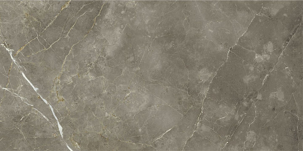 Керамогранит Italon Stellaris Tuscania Grey натуральный 60x120