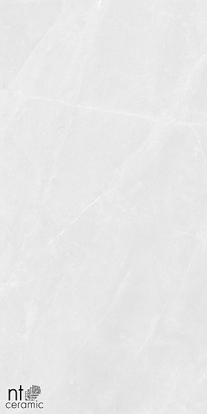 Керамогранит NT Ceramic Granite Limestone White Structura 60x120