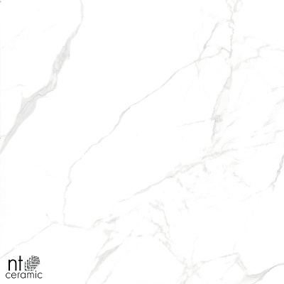 Керамогранит NT Ceramic Marmo Callacata carving 60x60