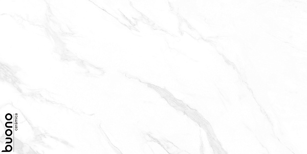 Керамогранит Buono Ceramica Marble Carrara Anita glossy 60x120