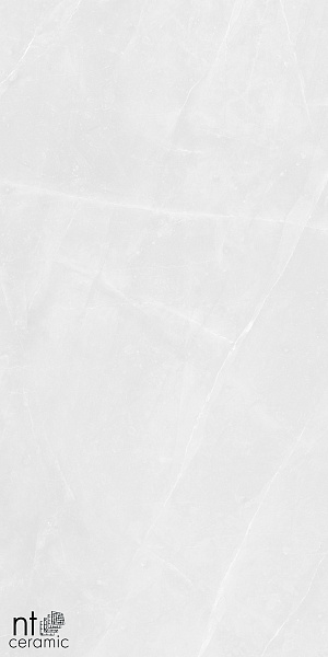 Керамогранит NT Ceramic Granite Limestone White Structura 60x120