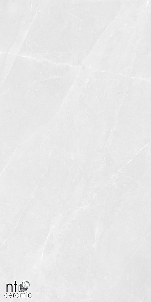 Керамогранит NT Ceramic Granite Limestone White Structura 60x120