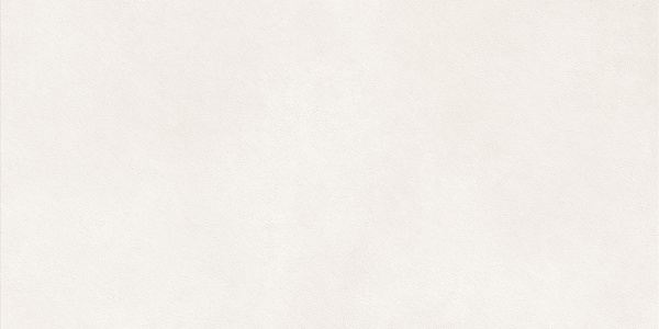 Керамогранит LCM Nevel White / Невел белый матовый 60x120