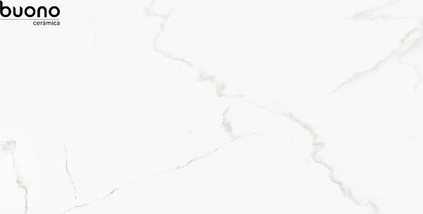 Керамогранит Buono Ceramica Marble Omega Exotica glossy 60x120